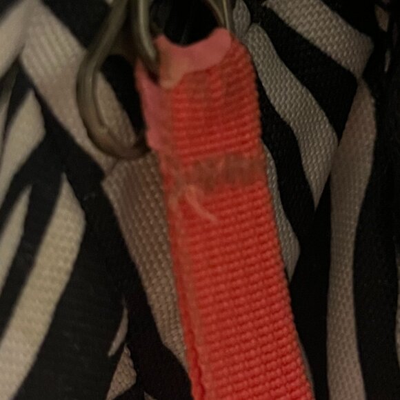 Jansport Zebra print backpack - Picture 6 of 16